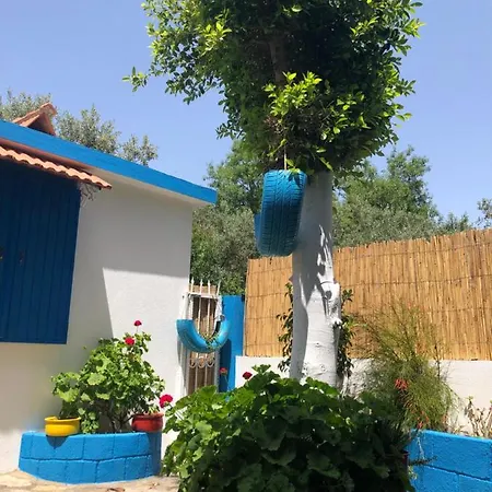 Pinarbasi Apart * Sogut (Aegean)